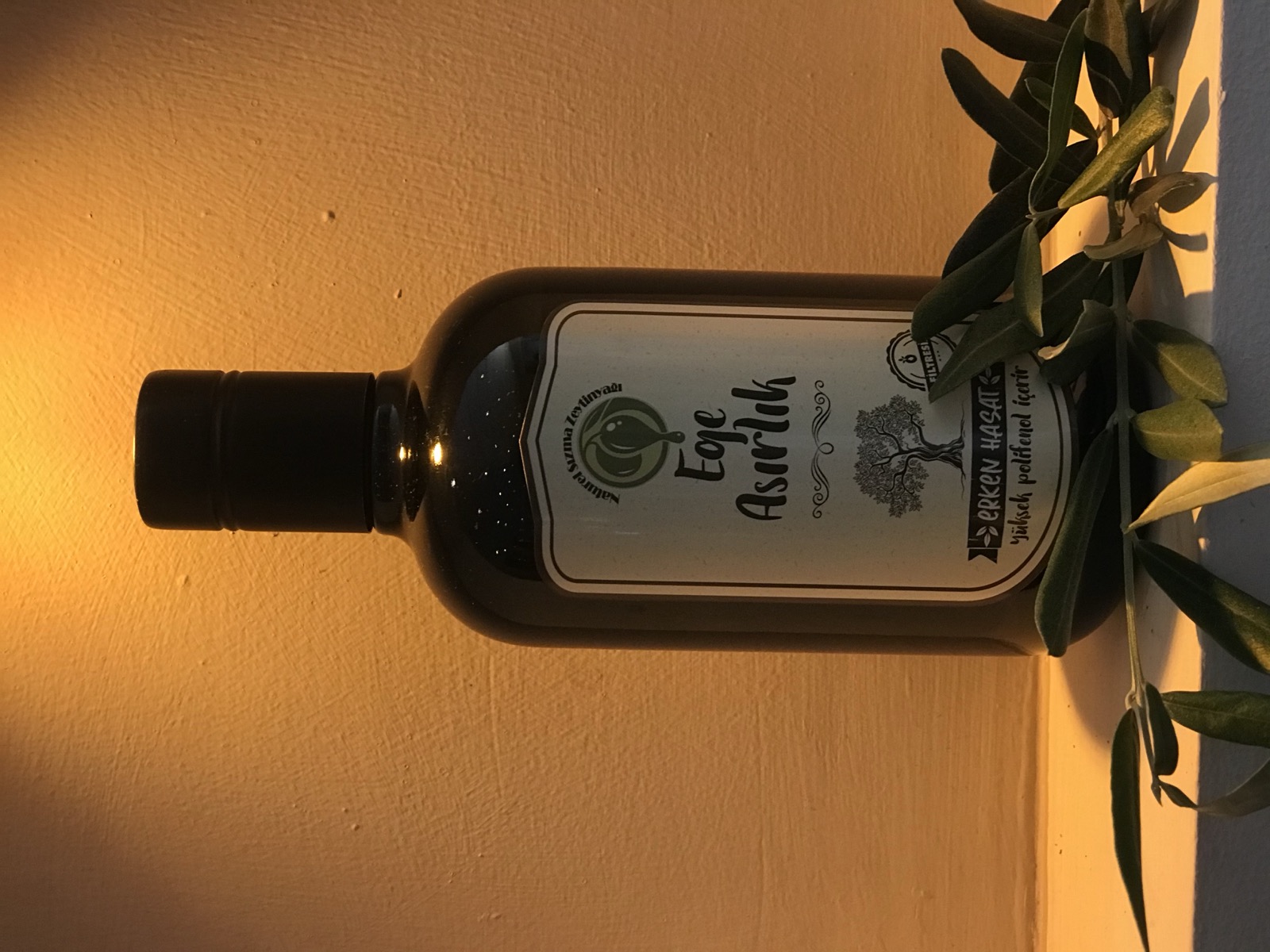 Sarı duvar önünde koyu cam zeytinyağı şişesi ve taze zeytin dalı